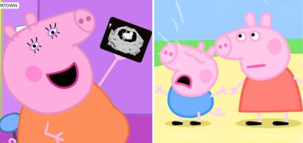 peppe pig pregnancy announcement real reason explained mummy pig pregnant peppa pig george pig pig pig pig
