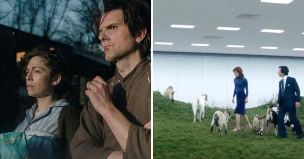 Severance Devon baby goat
