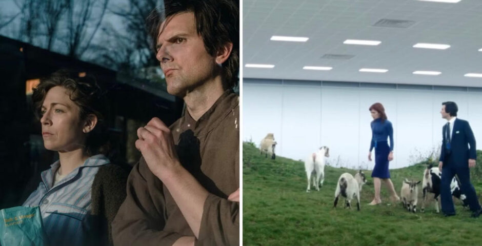 Severance Devon baby goat
