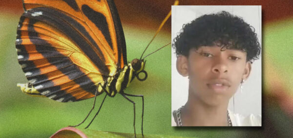 butterfly inject trend