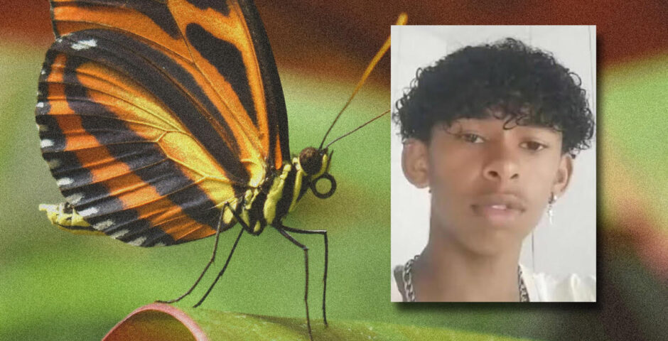butterfly inject trend