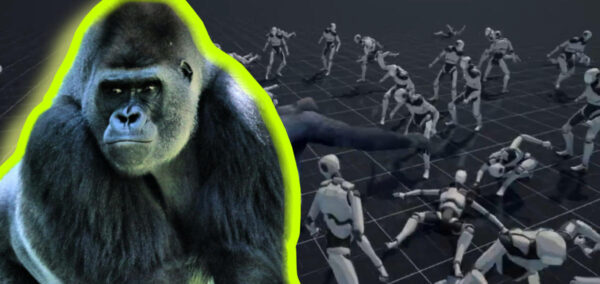 100 men gorilla