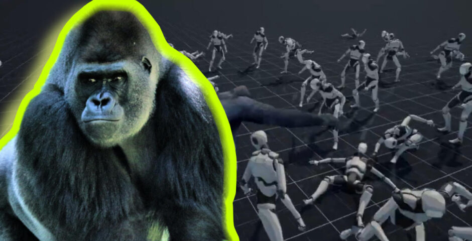 100 men gorilla