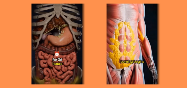 effects of fasting video