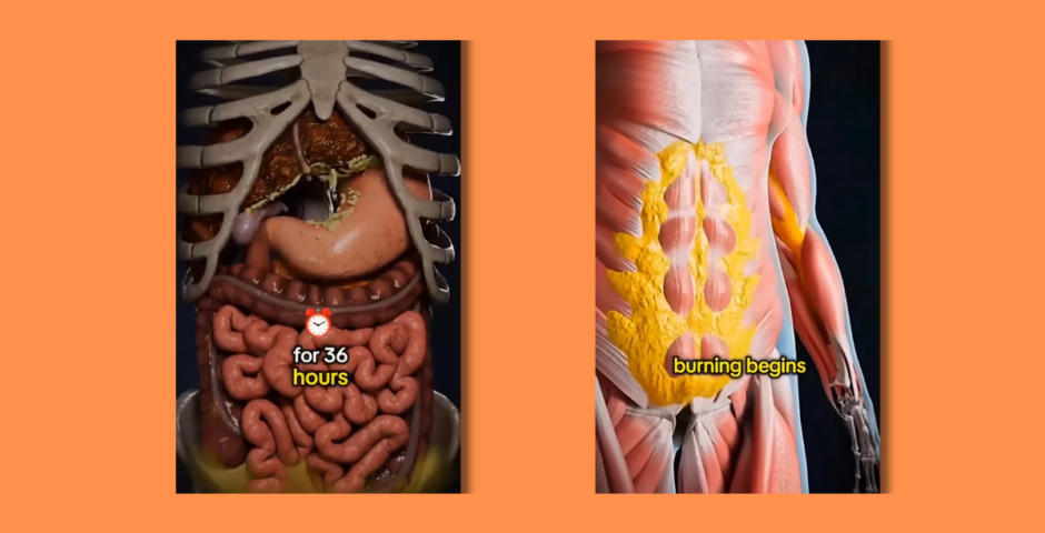 effects of fasting video