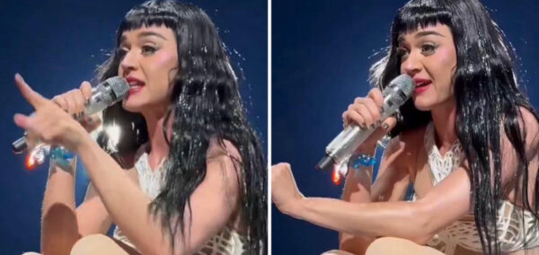 Katy Perry removed fan