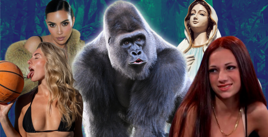 Gorilla