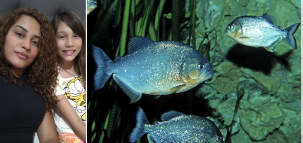 Piranha and girl attacked