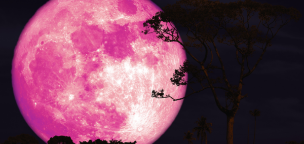 strawberry moon visible tonight