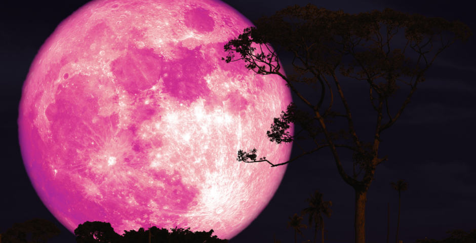 strawberry moon visible tonight