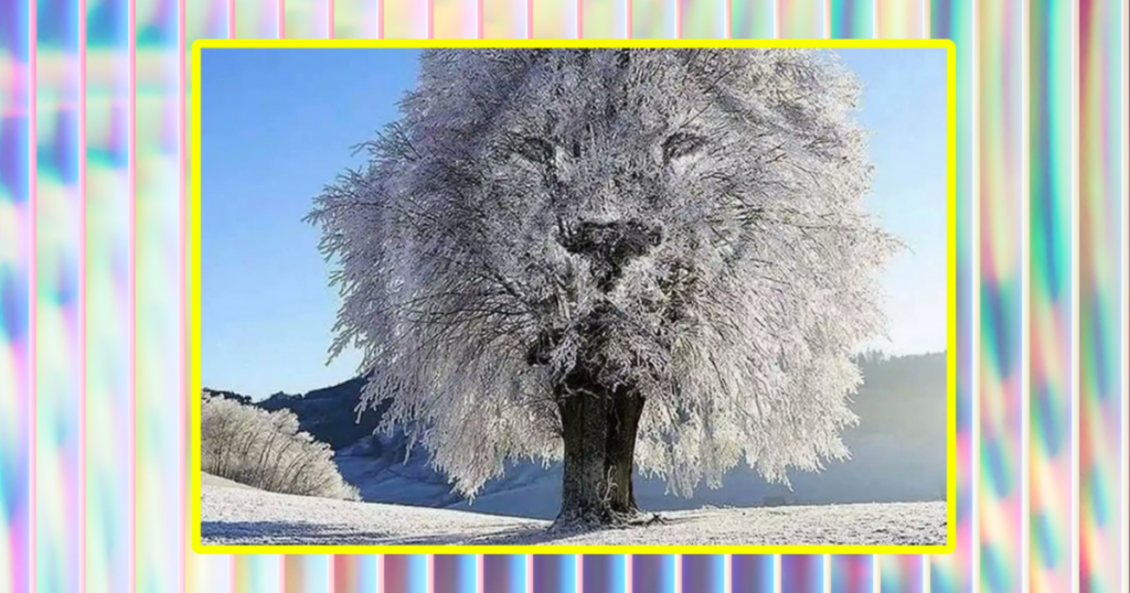 Lion or frozen tree optical illusion
