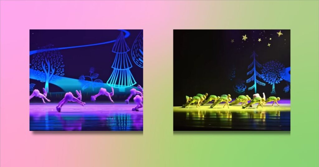 rabbit turtle dance video