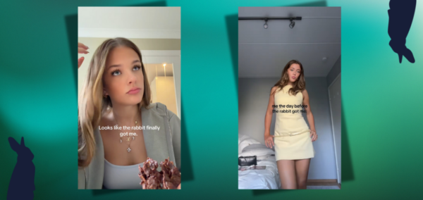 Rabbit got me TikTok trend means