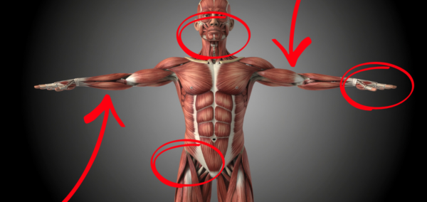 Body broker