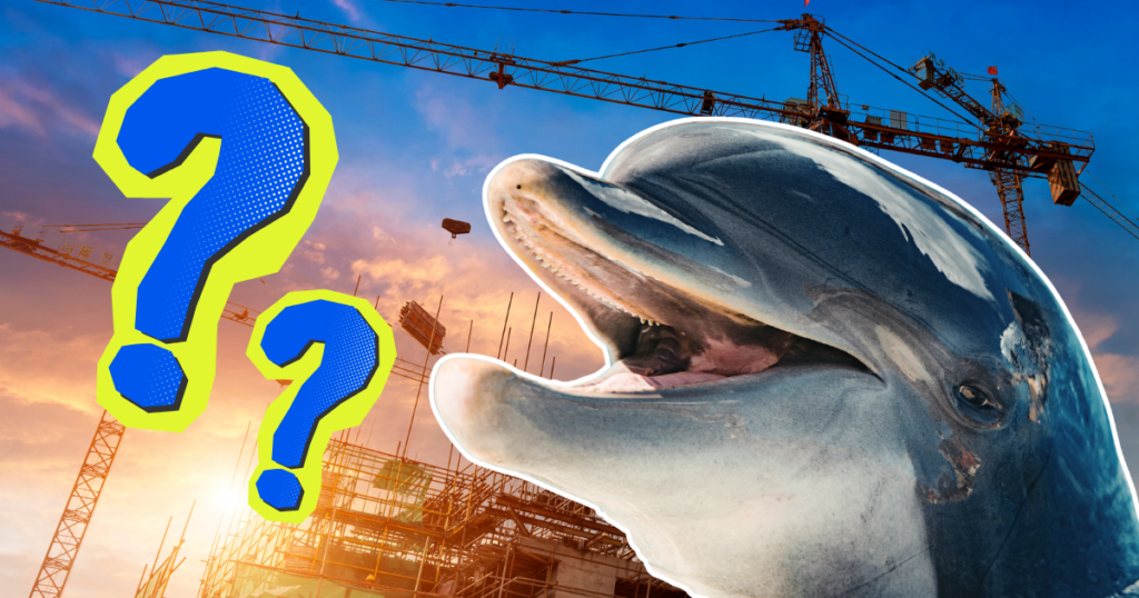 Dolpin