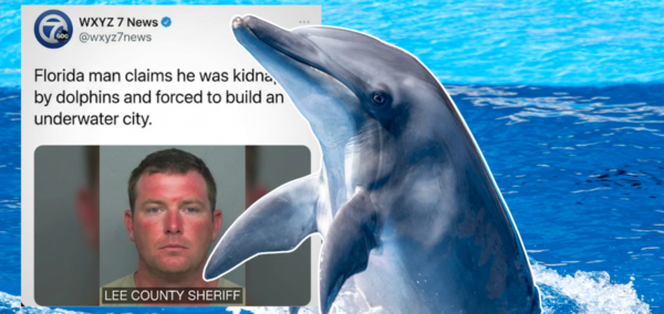 Dolphin