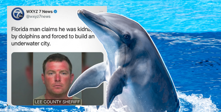 Dolphin