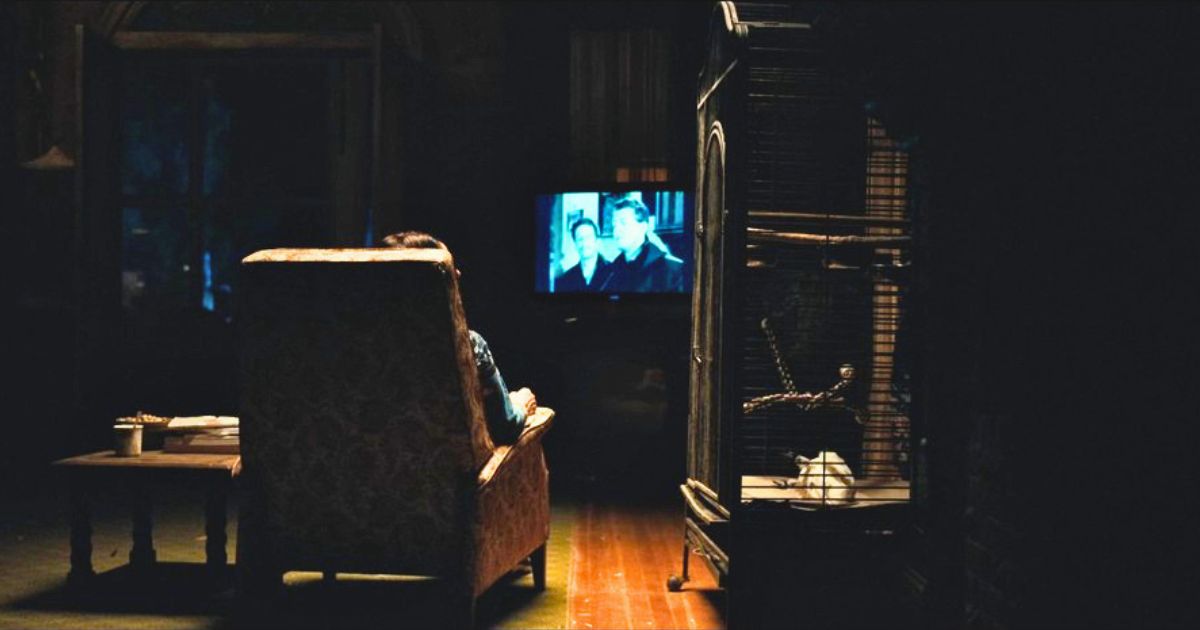 euphoria paladin laurie bird