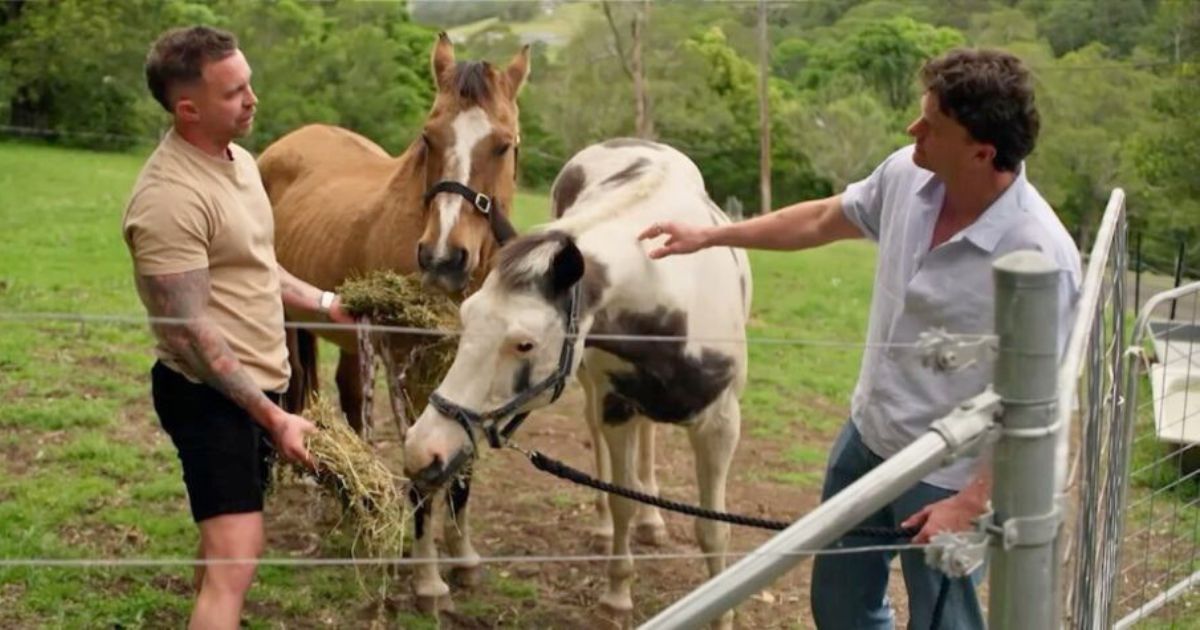 mafs australia 2026 chris sam homestay