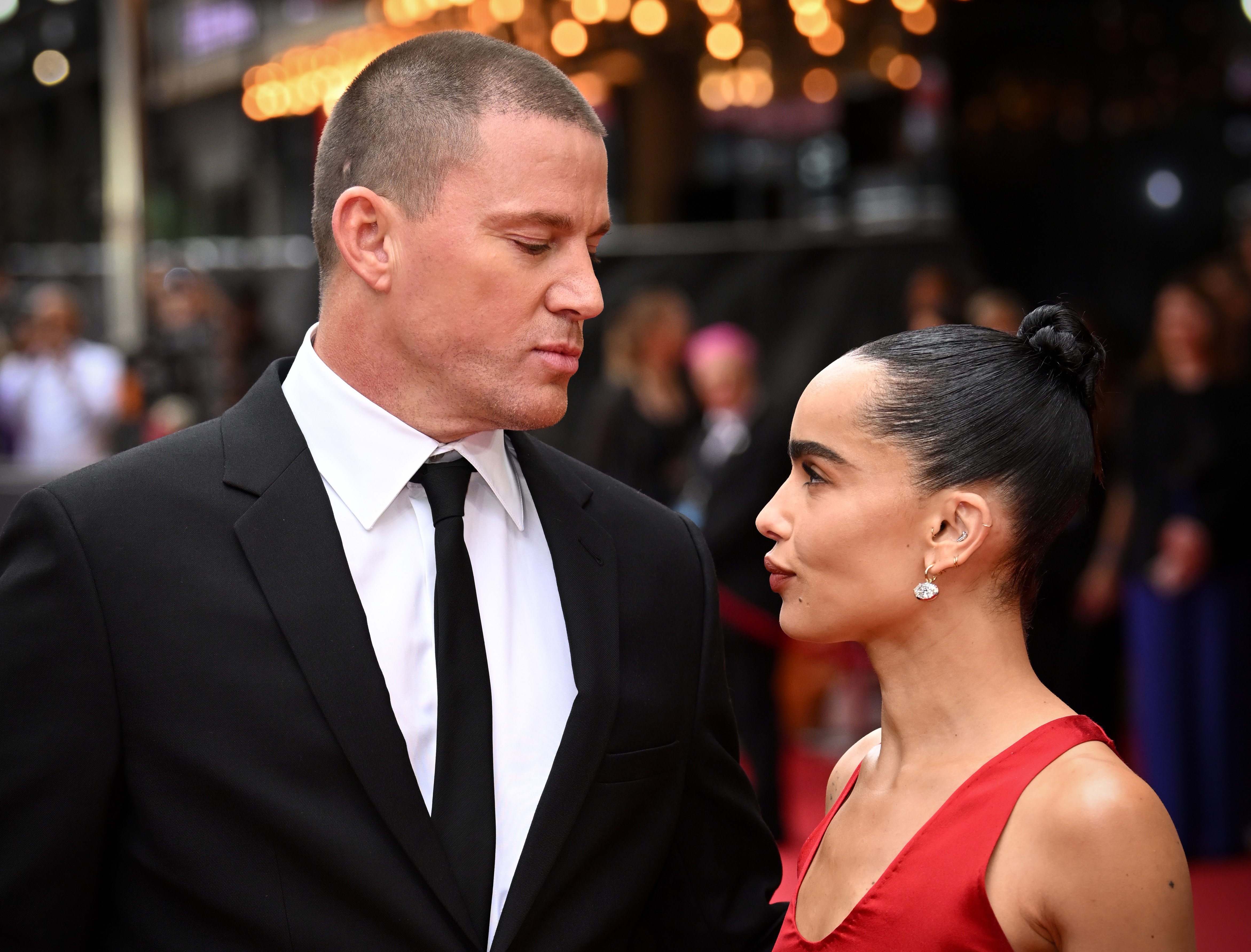  David Fisher/Shutterstock