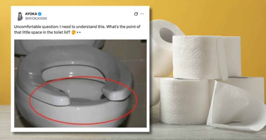toilet seat lids space