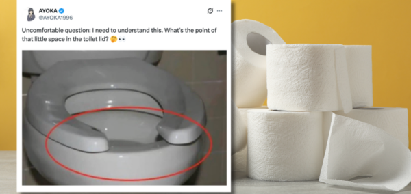 toilet seat lids space