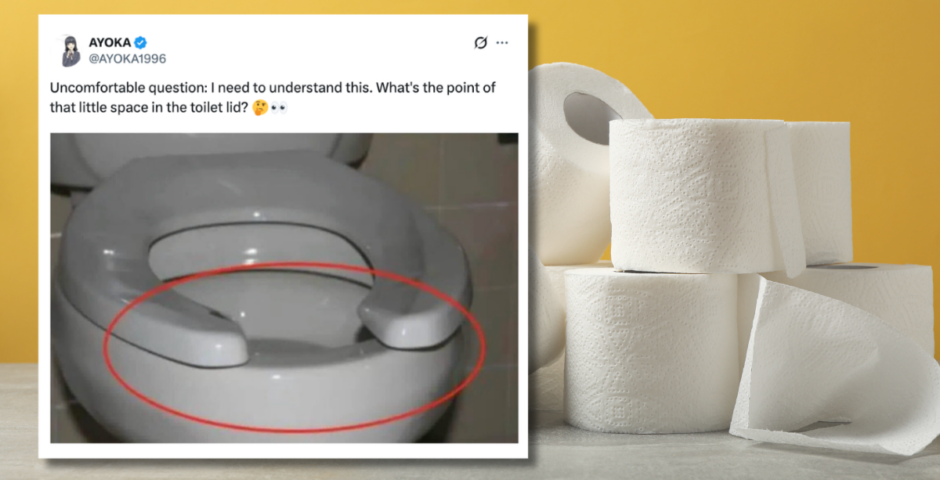 toilet seat lids space