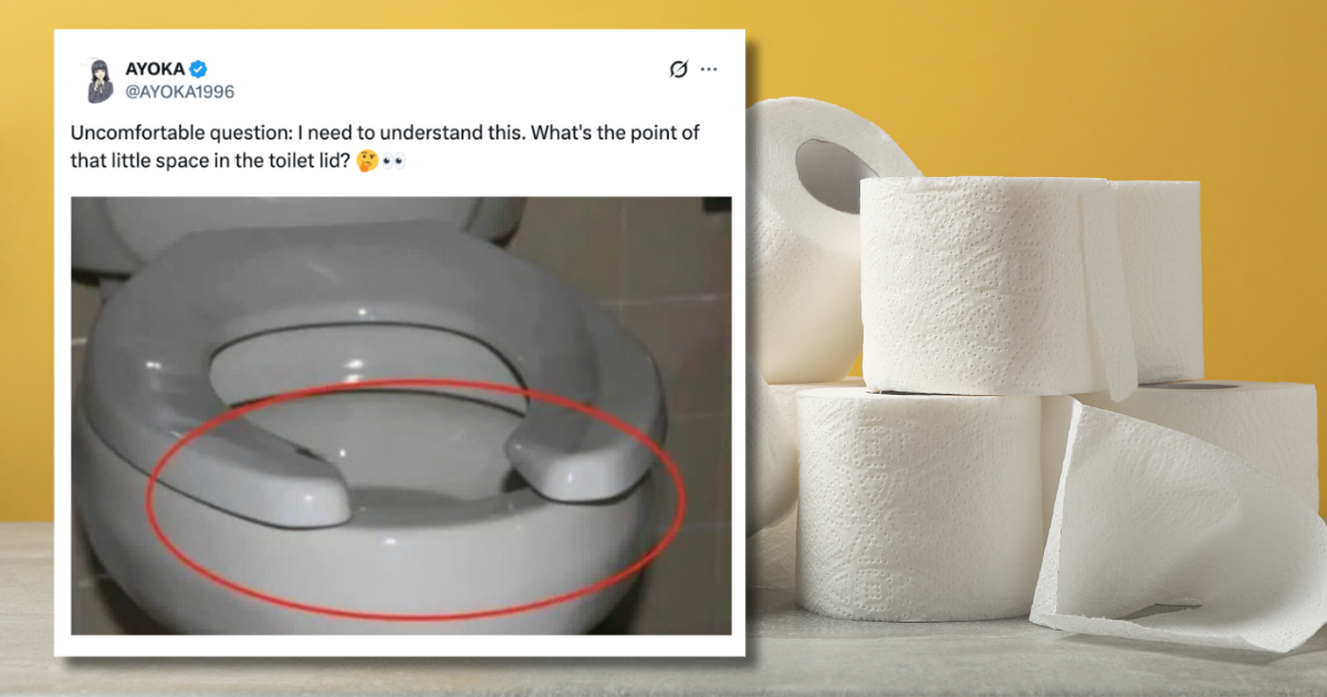 Embarrassingly, people only just clock the gross reason there's a space on toilet seat lids
