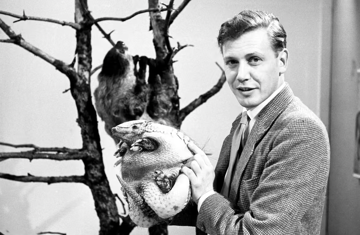 young David Attenborough