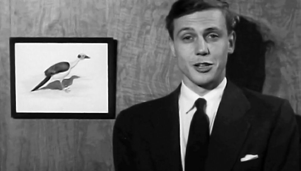young David Attenborough