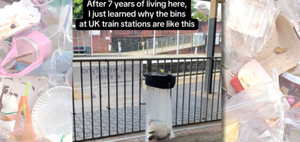 Why bins look a certain way