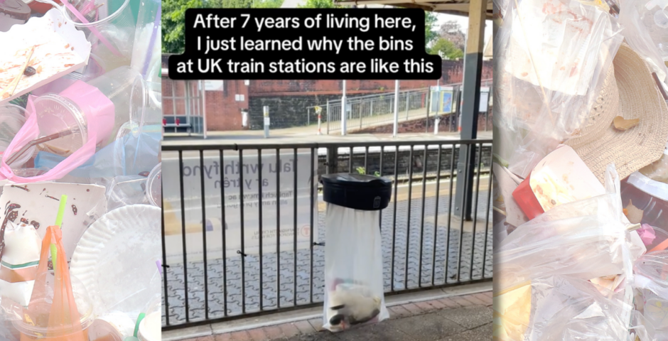 Why bins look a certain way