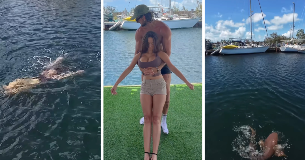 influencer shark bait viral video