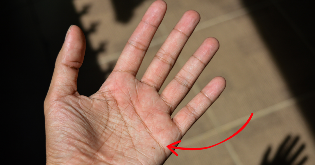 purpose lines on palms