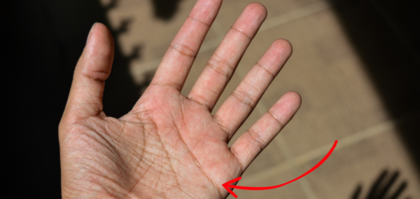 purpose lines on palms