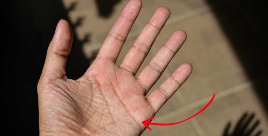 purpose lines on palms