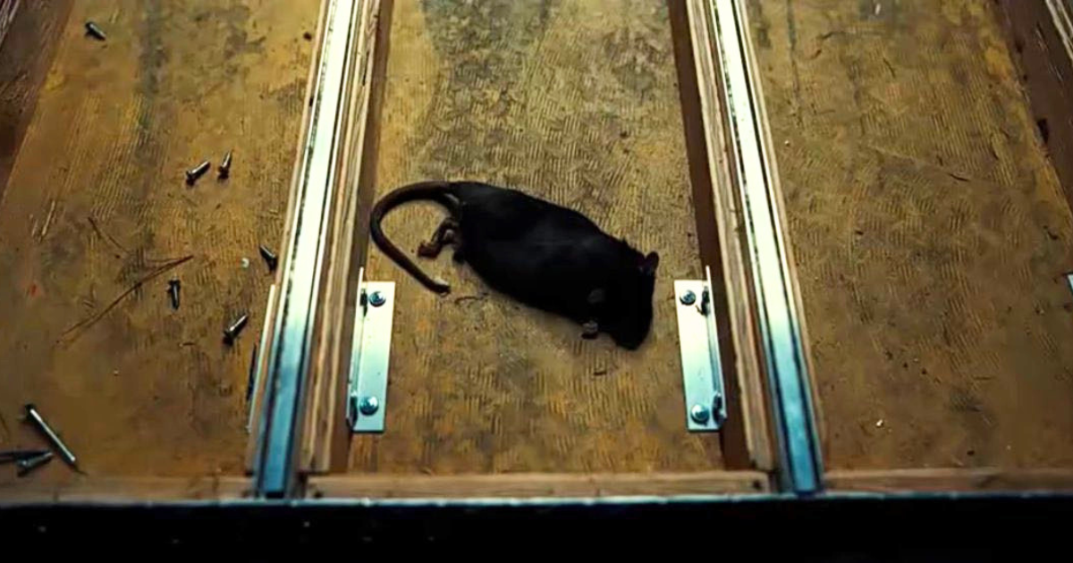 Dead rat Euphoria finale hidden meaning