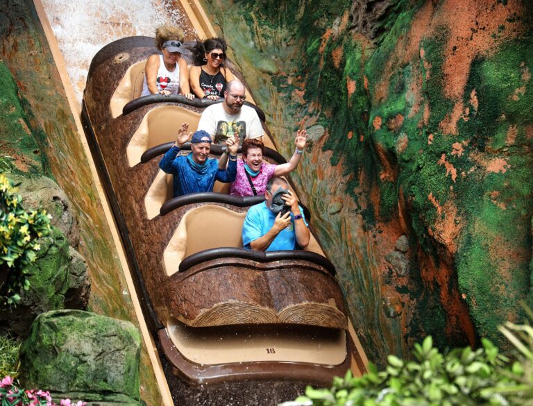 13-year-old falls 50 feet down Disneyland log flume ride