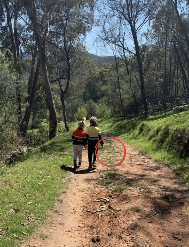 Snake detail spotted in photo of children