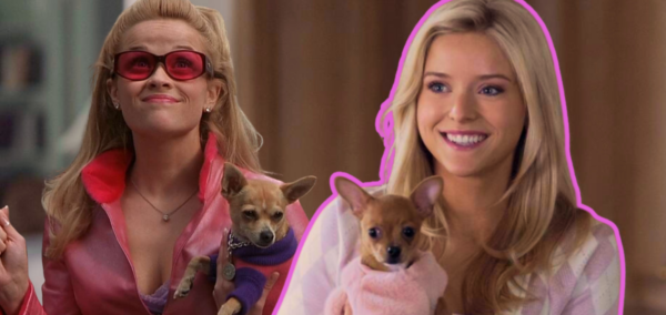 Legally Blonde hidden references Elle