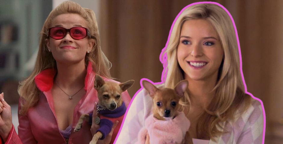 Legally Blonde hidden references Elle