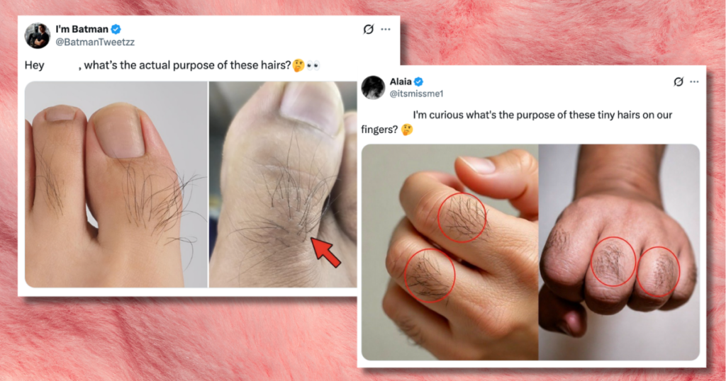 hair on fingers and toes