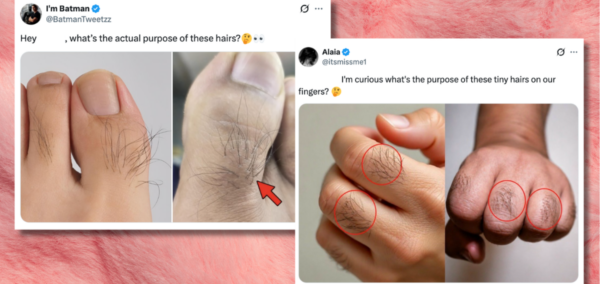 hair on fingers and toes