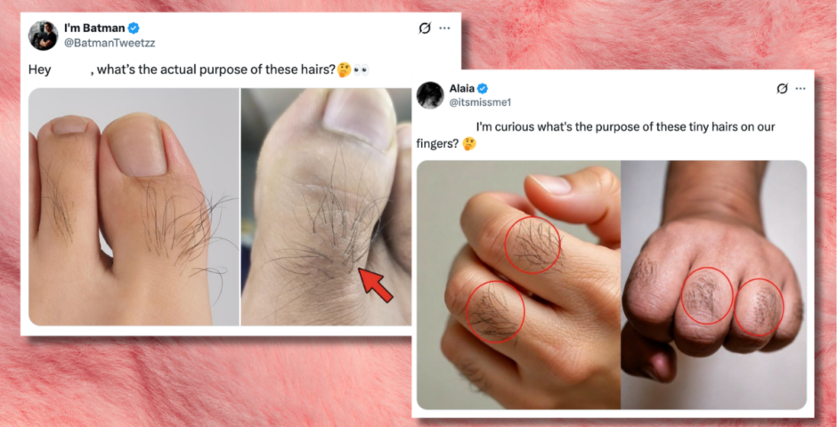 hair on fingers and toes