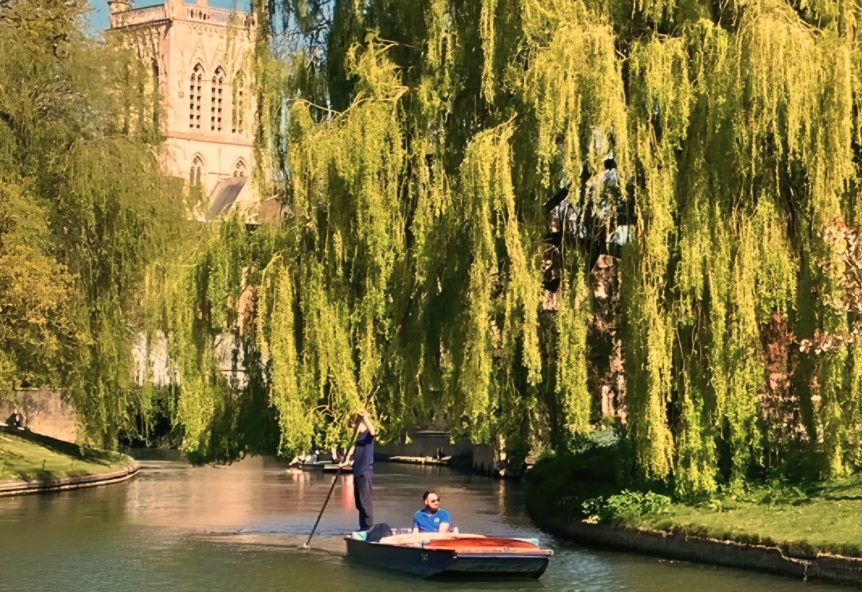 someone punting along the river cam sort of near some university of cambridge colleges