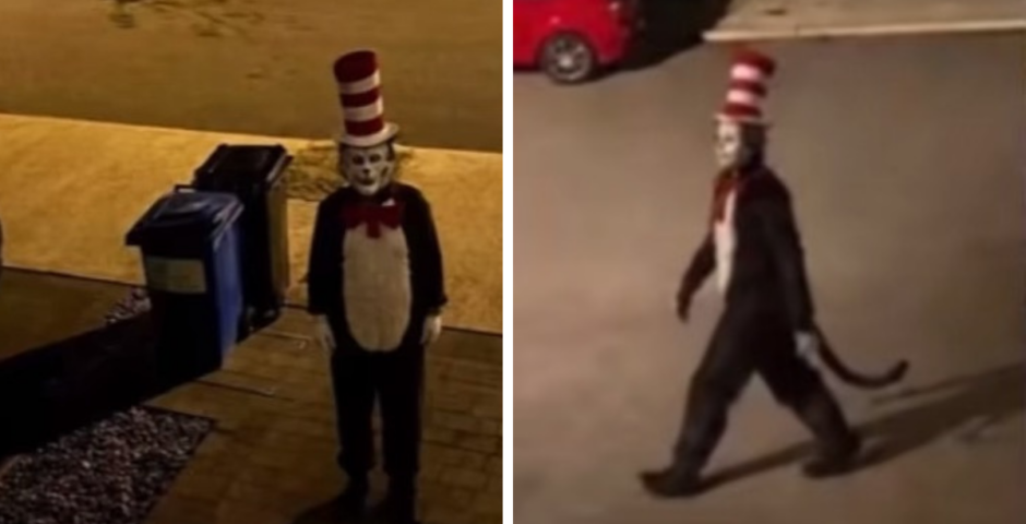 Here s What Is Going On With The Viral Cat In The Hat TikTok Trend Here s What Is Going On With The Viral Cat In The Hat TikTok Trend