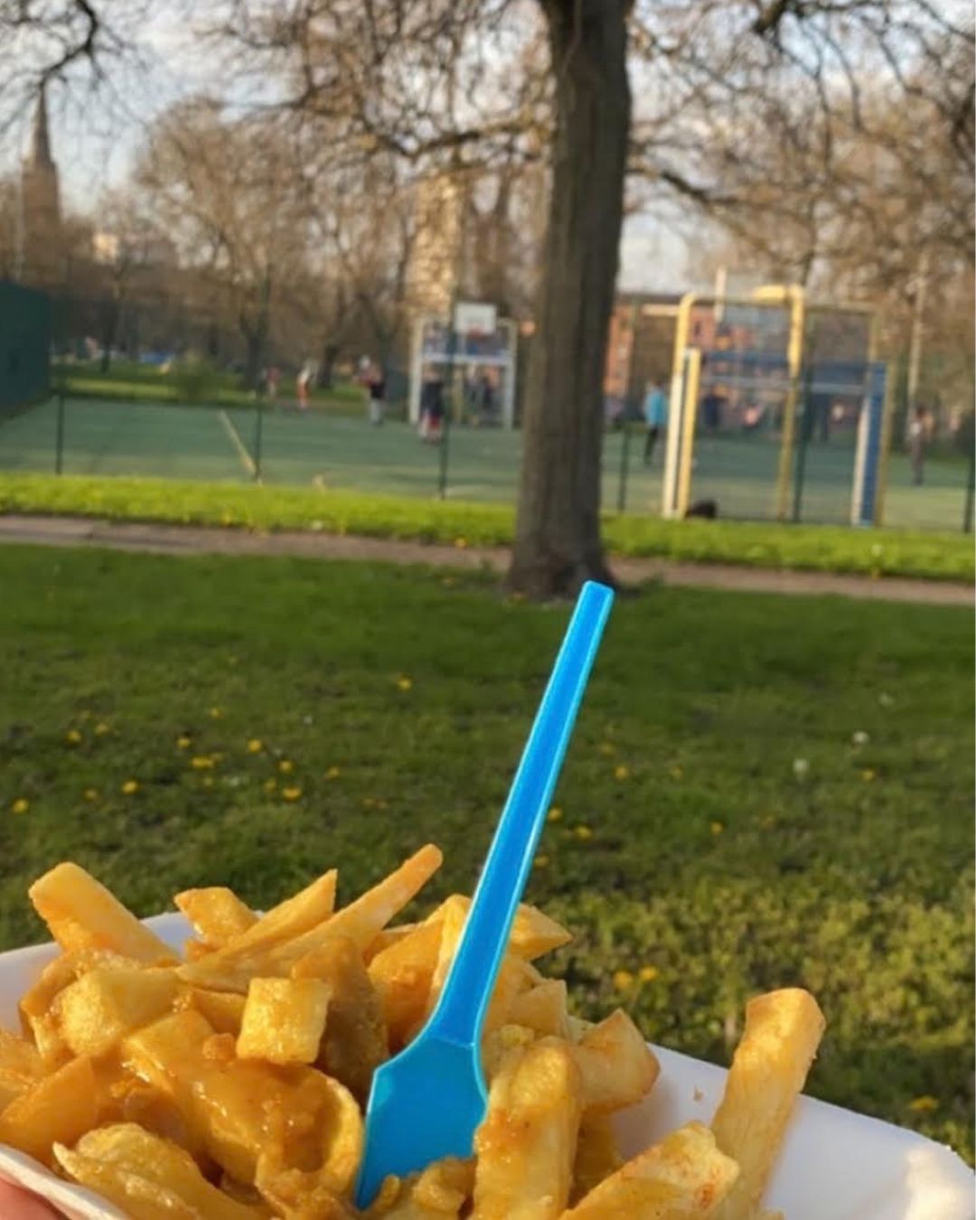Plain chips in the park
