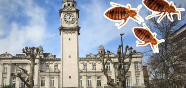 uk universities bed bugs queen mary university of london