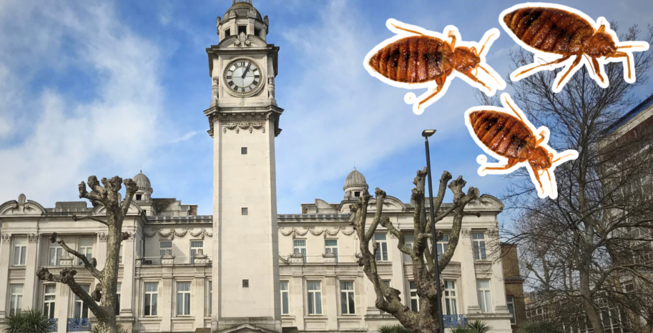 uk universities bed bugs queen mary university of london
