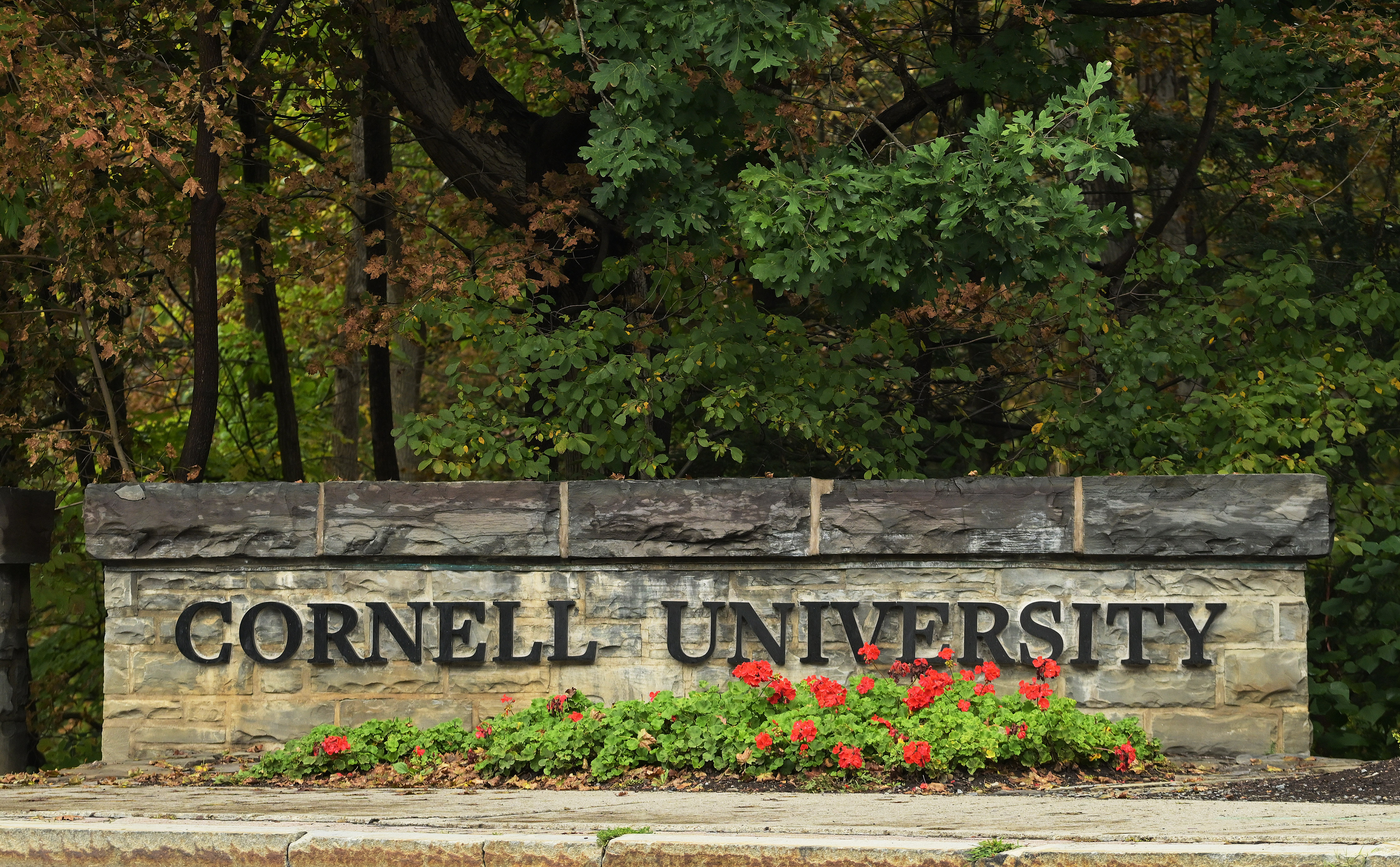Netflix Cornell University true crime documentary
